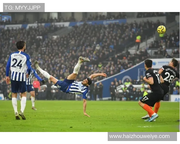 伊朗历届足球巨星回顾与他们在国际赛场的辉煌表现